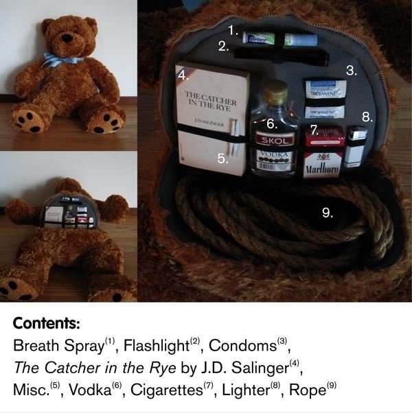 Innerhalb eines Teddy Bear ...