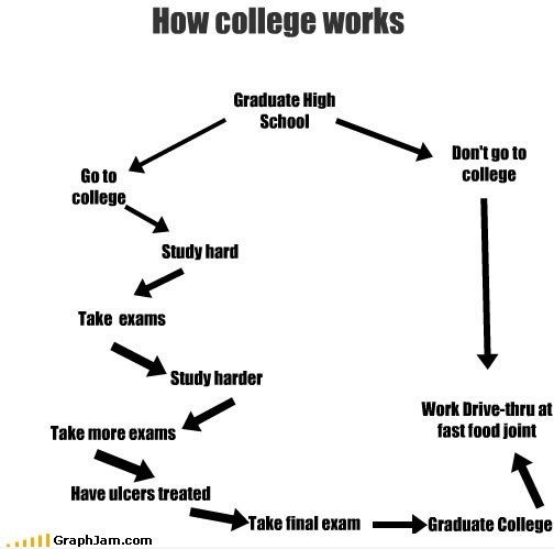 Wie Hochschule Works