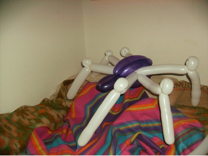 Spinne auf meinem Bett!