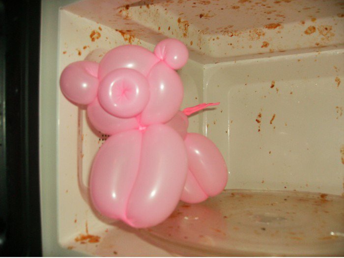 Schwein