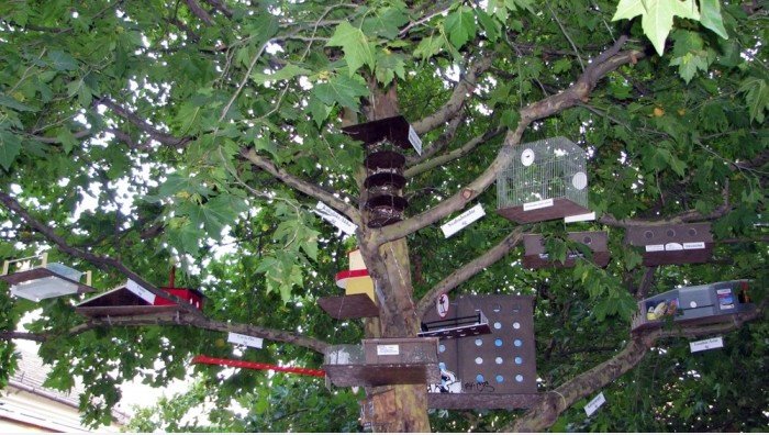 Bird City