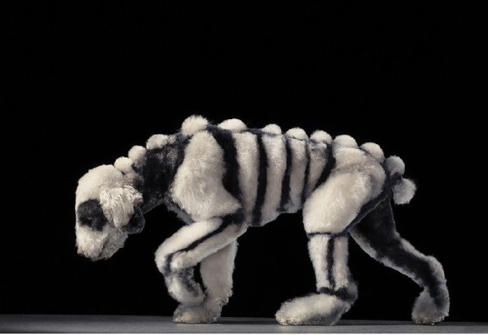 Skeleton Dog