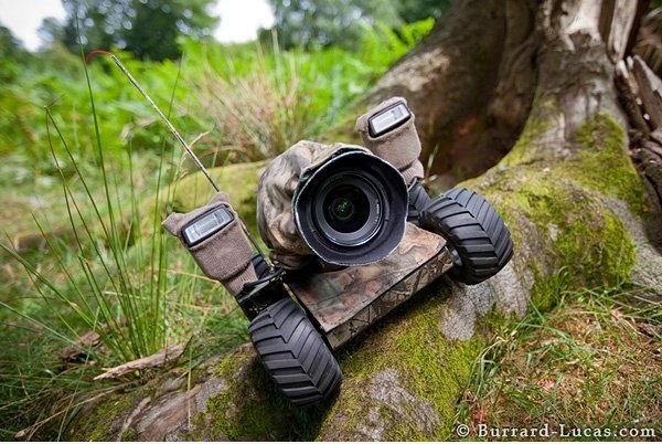 DSLR Camera in War Zone