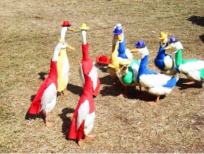 Party Time!
