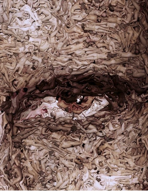 Das menschliche Auge