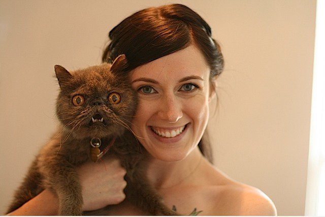 Here kitty-kitty .....?