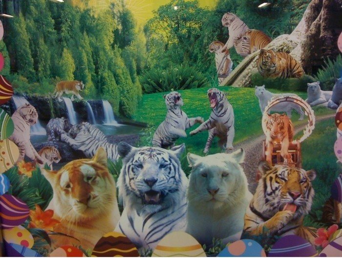 LAND DER TIGER