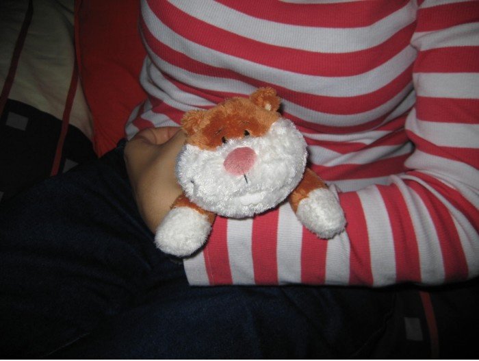 Nizza hamster