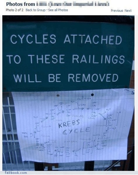Cycles