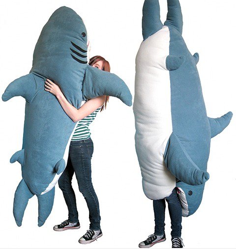 Shark Attack!