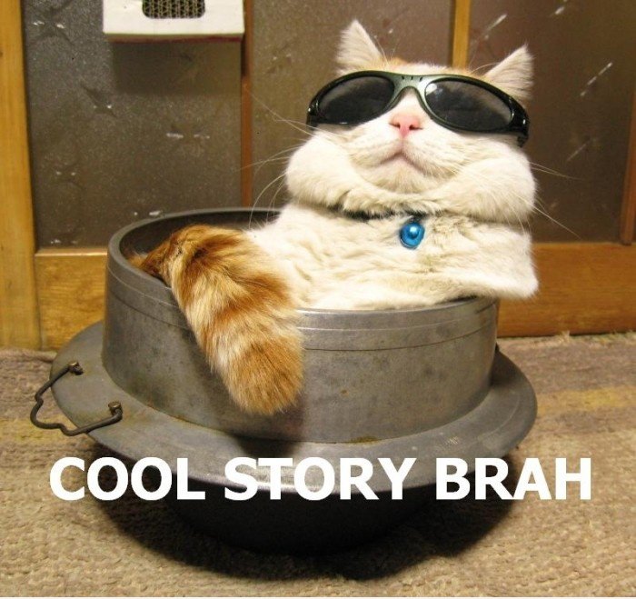 Cool Story, Brah