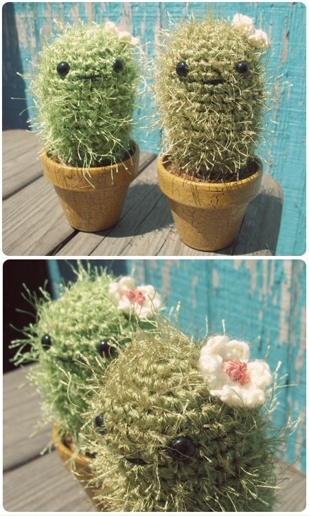 Nette Cactus