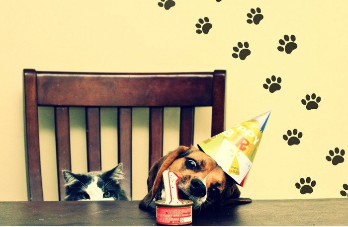 Happy Birthday!