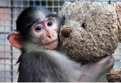 Impossible Love!