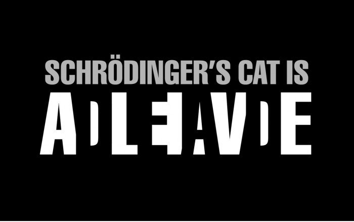 Schrödingers Katze