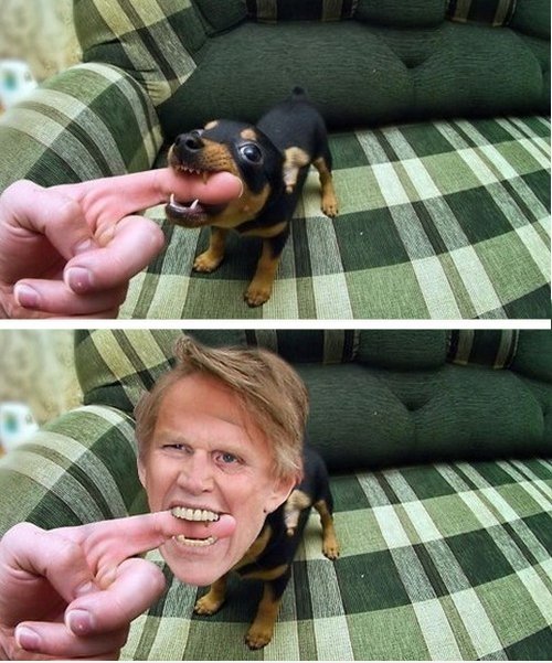 Gary Busey Bites