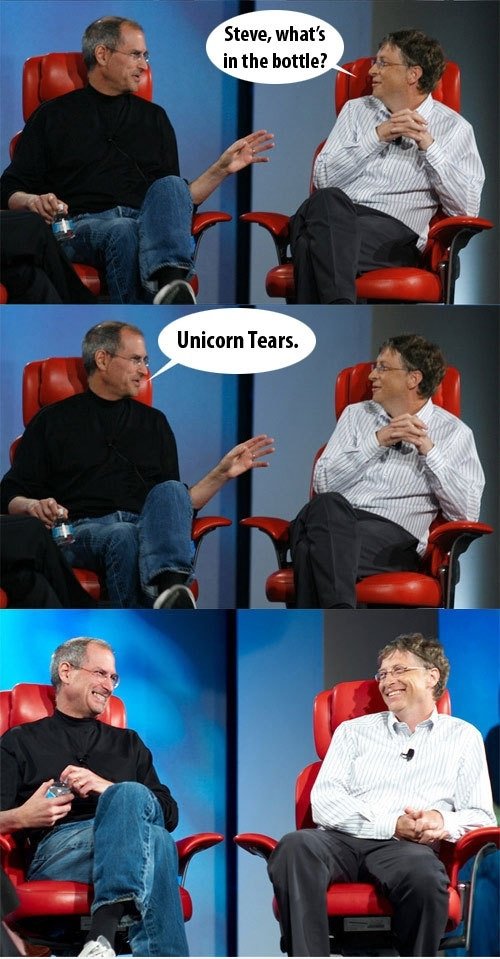 Steve Job vs Bill Gates (1)