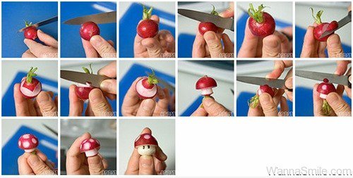 Von der Frucht zum Pilz