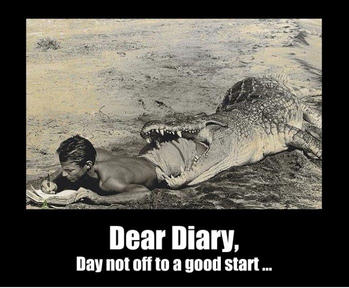 Dear Diary