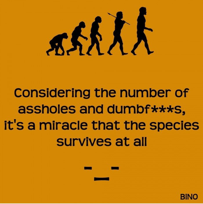 Survivability, es ist ein Wunder!