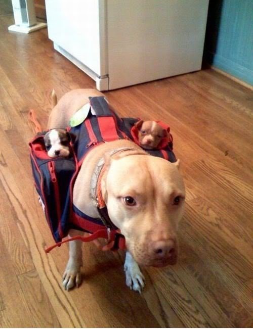 Subwoofer