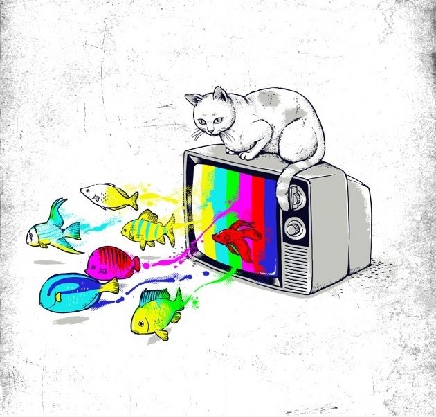 TV Fisch