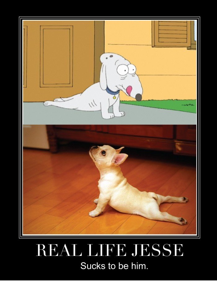 Real Life Jesse