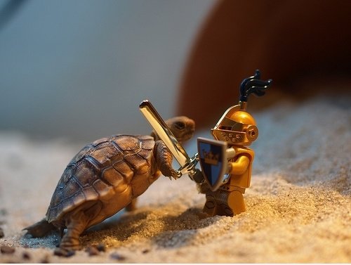 Die Schildkröte Slayer