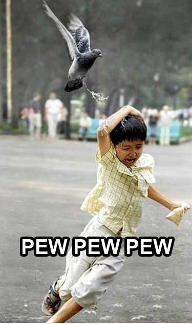 Pew Pew