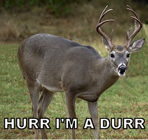 Hurr Ich bin ein durr