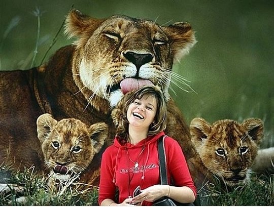 Lion Kuss