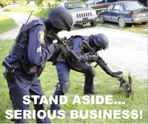 Serious business