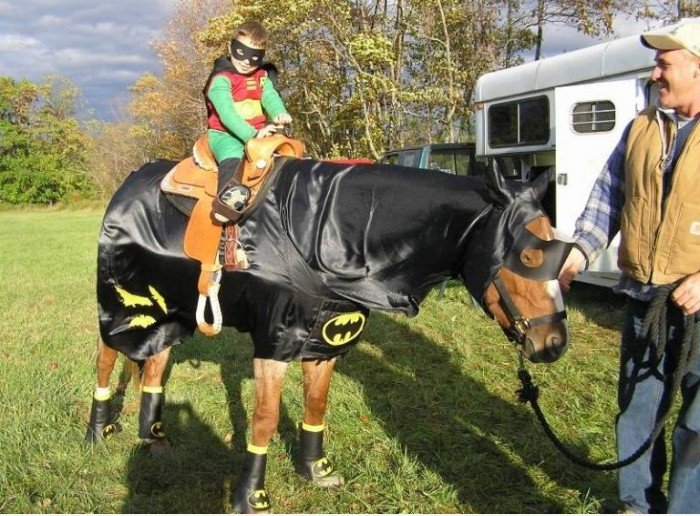 Pferd Cosplay