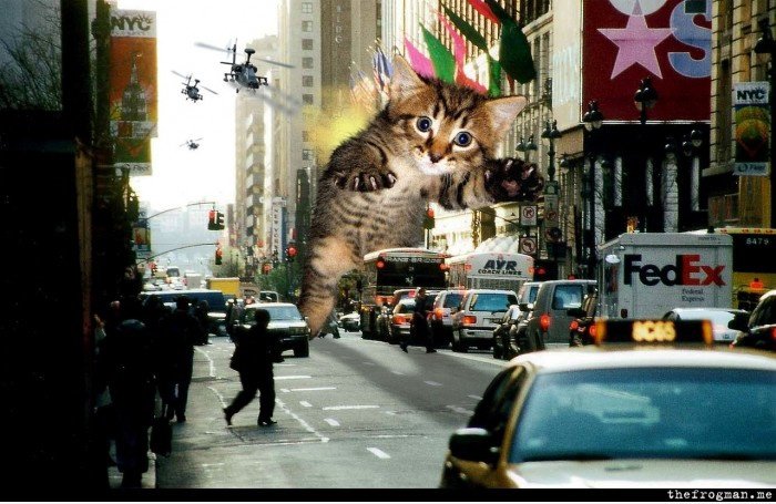 RAWRRRRR!