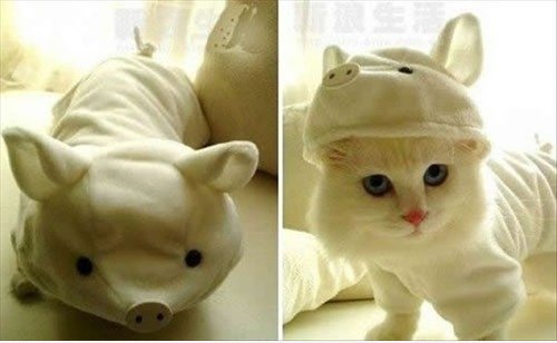Undercover Bruder.