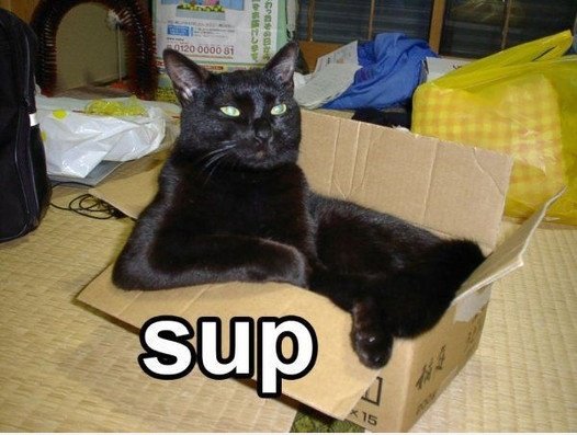 Sup?