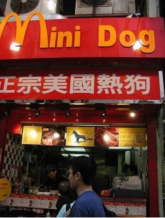 Mini Dog