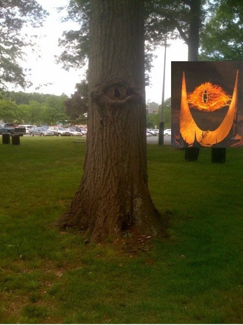 OH S ** T IT'S SAURON