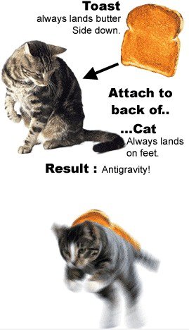 Cat + Toast = Antigravity
