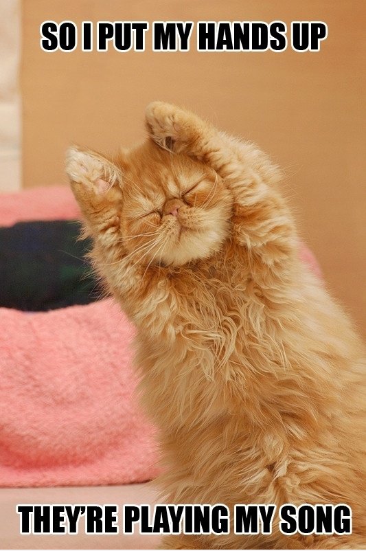 Hands up
