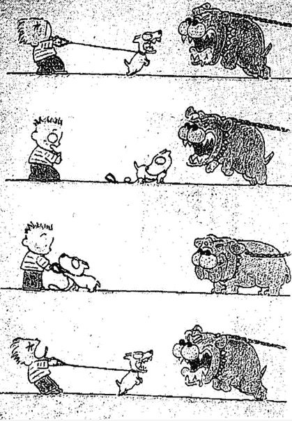 Barking dog