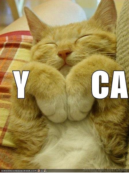 YMCA Kitty