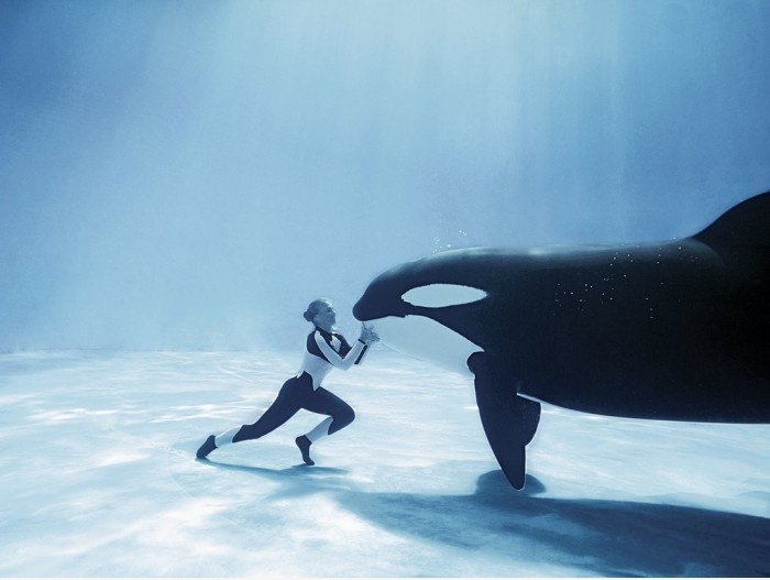 Tanz mit dem Killer Whale