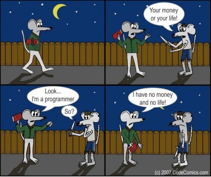 Ich bin ein Programmierer