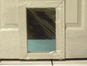 Kraftfeld für CAT