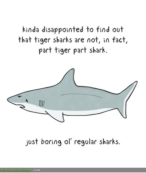 Tiger Sharks