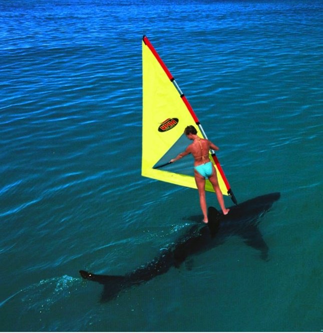 Ungewöhnliche Windsurfing