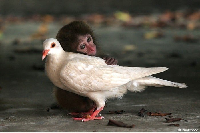 Wir sind gute Freunde