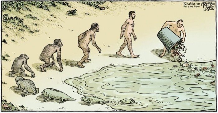 Evolution of Man