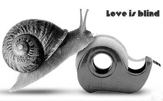 Liebe macht blind
